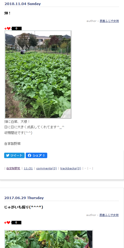 自家製野菜